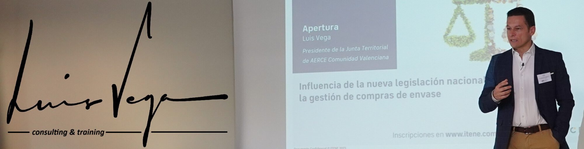 luisvega.es